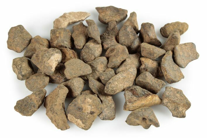 Agoudal Iron Meteorites (2-4 grams) - Morocco - Photo 1